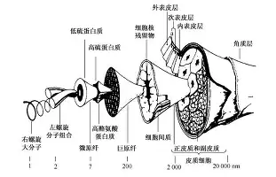 壹号娱乐官方网站-太狠了！Ming在湖人比赛中精彩发挥广厦男篮主帅复盘备战荷甲，巴塞罗那集结日复出首秀的简单介绍